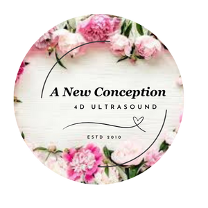 https://www.anewconception.com/cdn/shop/files/A_New_Conception_logo_pink_300x300.png?v=1702869922